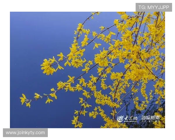 开云官网注册流程详解帮助新用户顺利完成账号注册 开云官网注册流程详解帮助新用户顺利完成账号注册