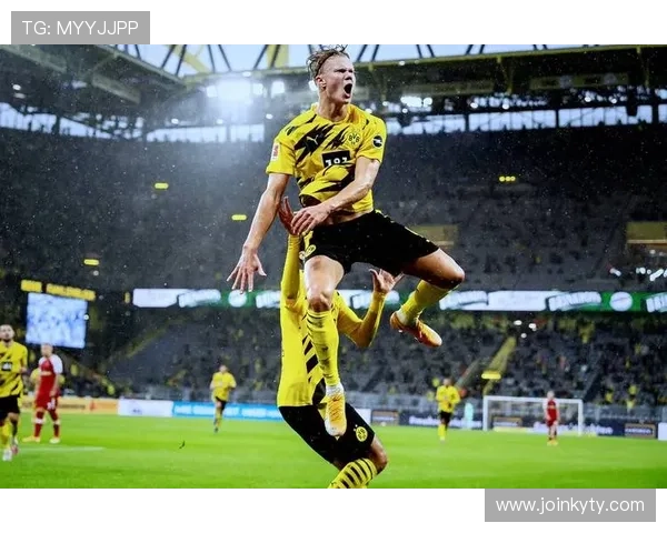 探索开云体育pp平台的多元化体育赛事和精彩活动