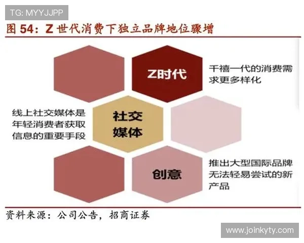 深入了解开云集团旗下品牌销售渠道布局与市场推广策略分析